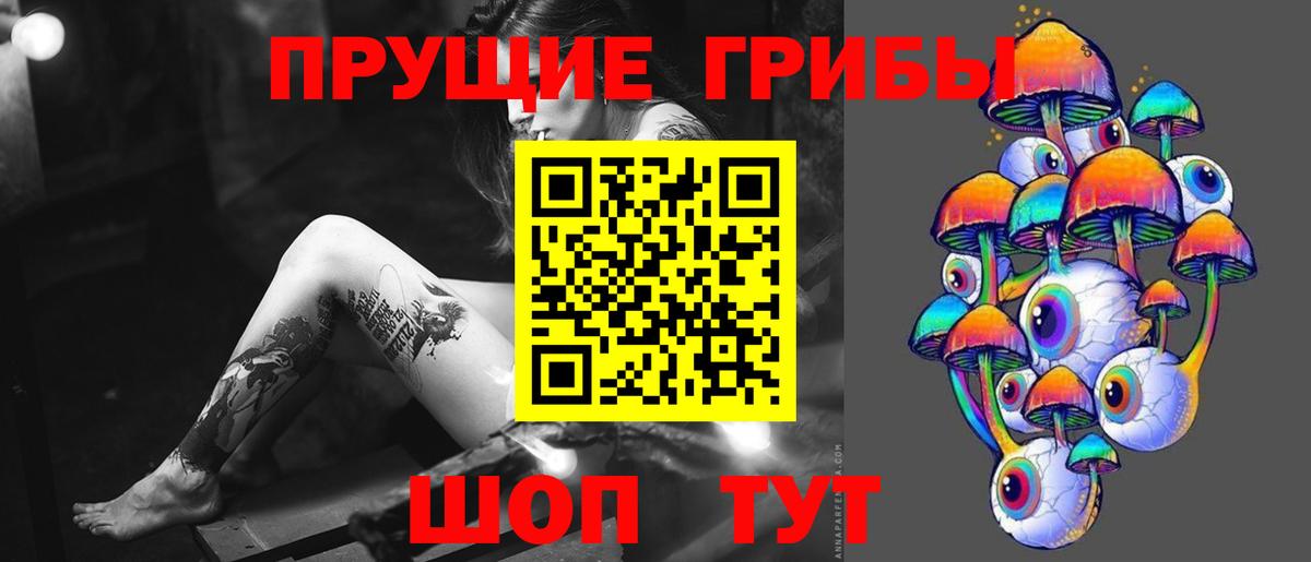 дарнет шоп  Галлюциногенные грибы мицелий  Вход с VPN  Кизилюрт  Псилоцибиновые грибы Psilocybine cubensis 